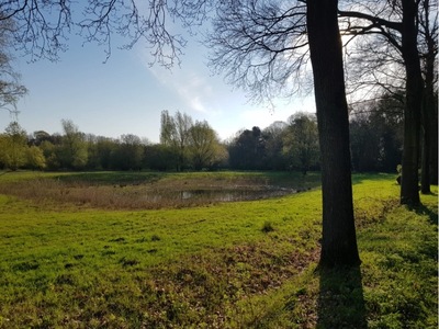 wandeling-noorderbos wandeling-noorderbos